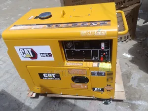 New Arrival 12kva Cat