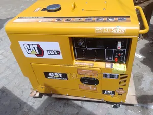 A Complete 12kva Cat Soundproof