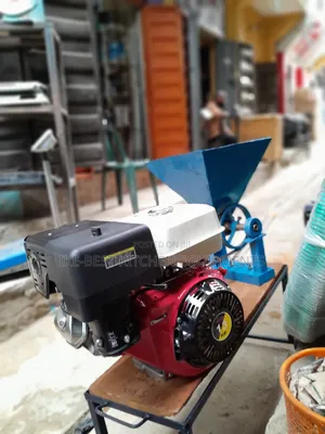 13hp Wet and Dry Grinder