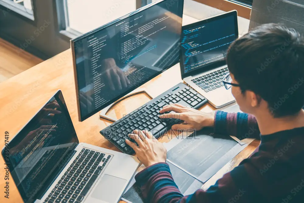 Programmer CyberSecurity Expert