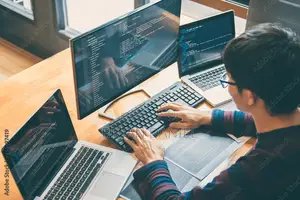Programmer CyberSecurity Expert