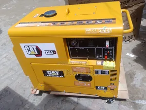Quick Sales 12kva Soundproof