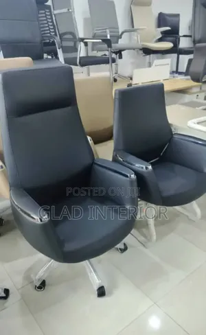 Executive Swivel Chair and Visitor