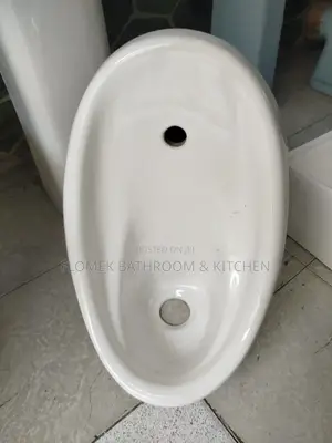 Moderate Size Urinal