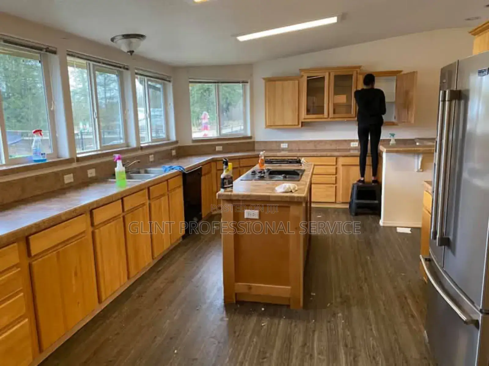 Janitorial Services for Organizations and Homes