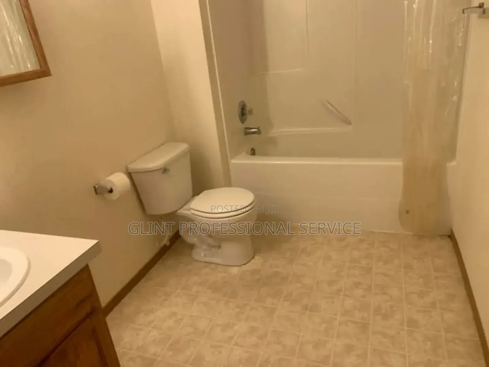 Janitorial Services for Organizations and Homes