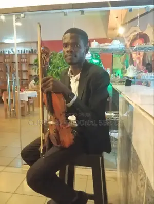 Violinist and Violin Tutor