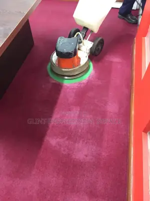 Carpet/ Rug Cleaning