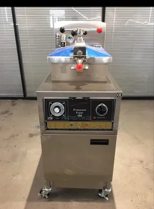 Electric Pressure Fryer Standing Type