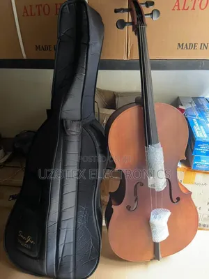 Professional Cello With Accessories and Bag