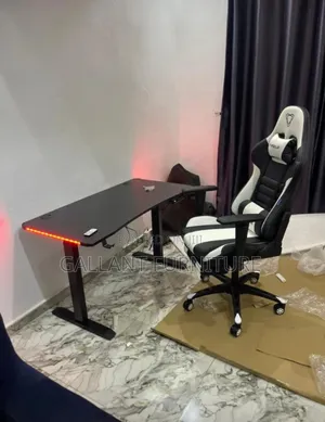Luxury Electric Ergonomic Desk and Chair