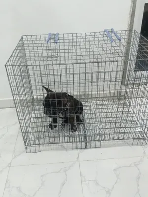 Non Collapsible Size 3 Standard Dog Cage