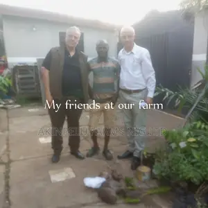 General Farm Manager/Overseer