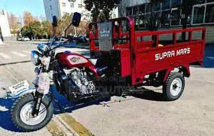 New Tricycle 2024 Red