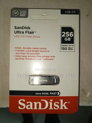 Sandisk 256gb Flash Drive