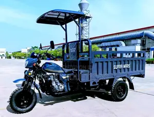 New Tricycle 2024 Gray