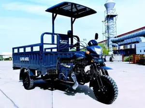New Tricycle 2024 Gray