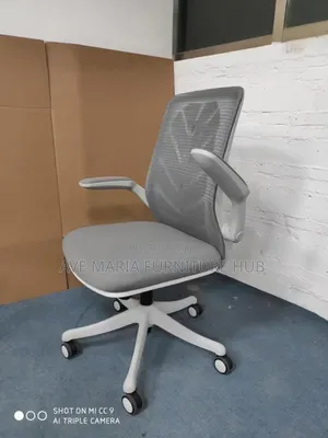 Office Ergonomic Mesh Chair.