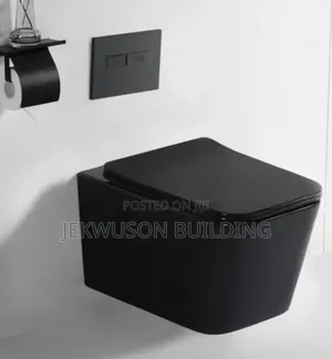 Wall Hung Black Wc With Conceal Tank