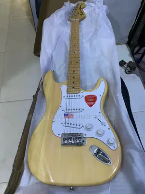 Fender Stratocaster Electric Guitar