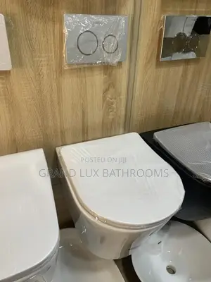 Modern Wall-Mounted Toilet With Dual Flush Plates on Display