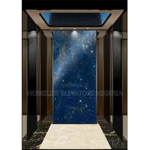 Home Residential Elevator