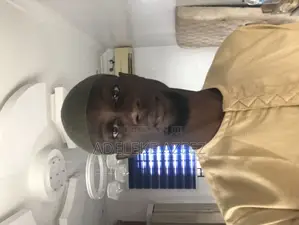 Mr Adeleke