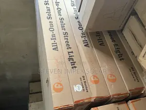 Felicity Solar Street Light D2 Series 100watts