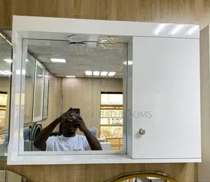 60x50cm Cabinet Mirror