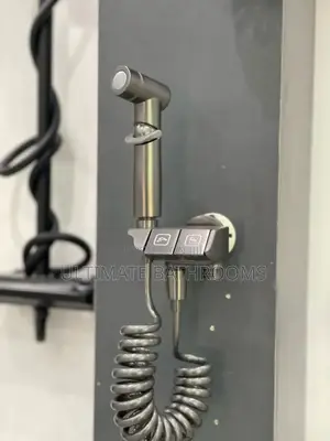 Grey Two Function Pressing Shower