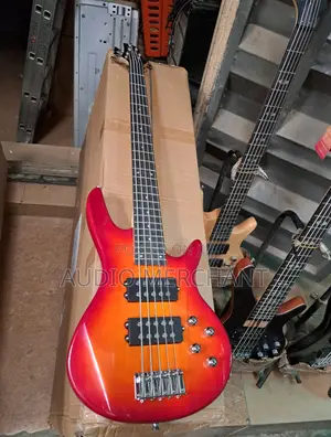 Professional 5 Strings Bass Guitar With 4 Pick Ups