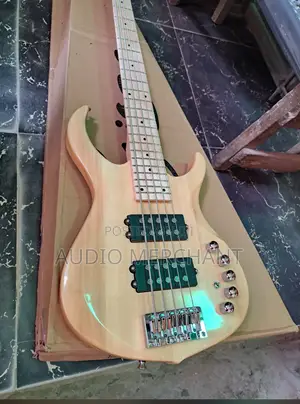5 Strings Bass Guitar With 5 Pick Up