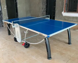 Heavy Duty Outdoor Table Tennis