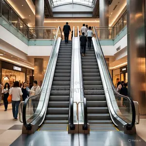 Hot Selling High Escalators