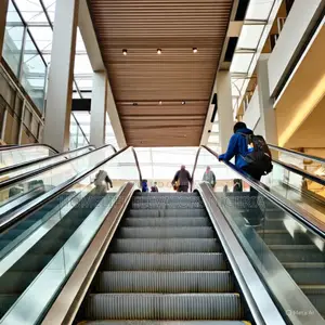 Boost Efficiency and Safety Escalators