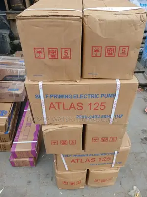 Atlas Priming Electric Pump