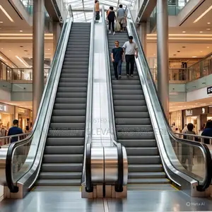 Step Commercial Escalator for Shopping Centers and Mall