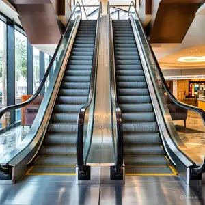Step Commercial Escalator for Shopping