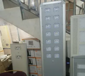 D2 100w Felicity Solar Street Light