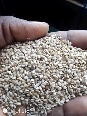 Healthy Seeds ( Chia, Sesame, Black)