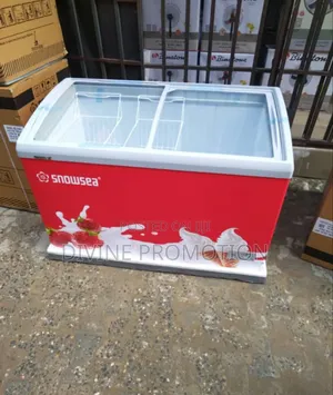 Snowsea 480 Transparent Ice Cream Freezer With Warranty