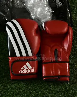 Adidas Pro Boxing Gloves