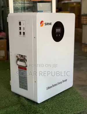 Srne 2.56kwh 24v Lithium Ion Battery