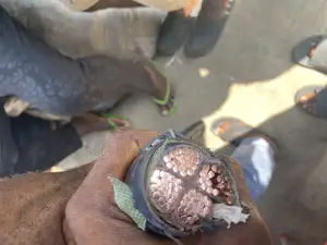 120mm 4core Armoured Cable