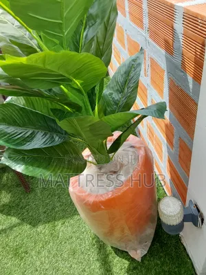 Flower and Vase