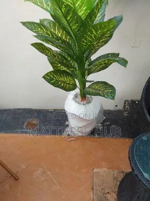 Classical Big Flower