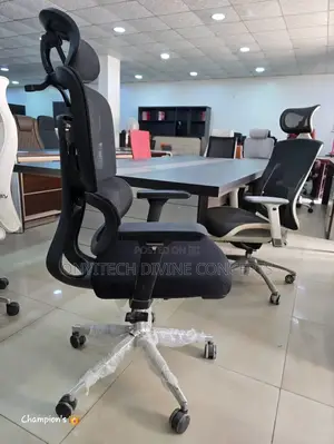 Luxury Ergonomic Chair With Lumbar Support