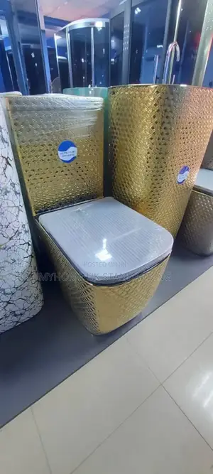 Executive Gold Toilet Seat With Standing Basin
