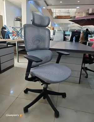 Ergonomic Chair With Adjustable Handle and Lumber Support