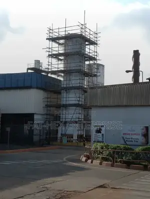 Erection of Scaffold